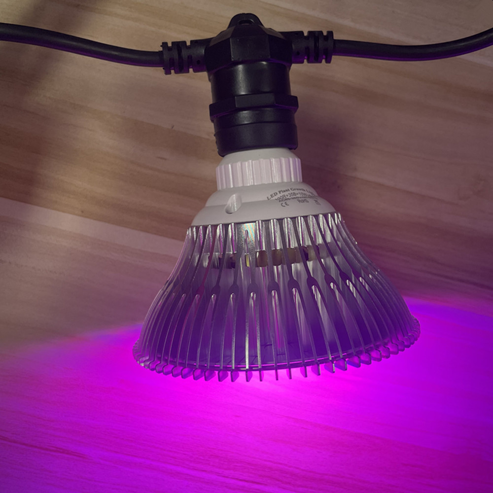 Светодиодная гирлянда 10 м, ко – обзор и цена Outdoor Lighting And Landscape